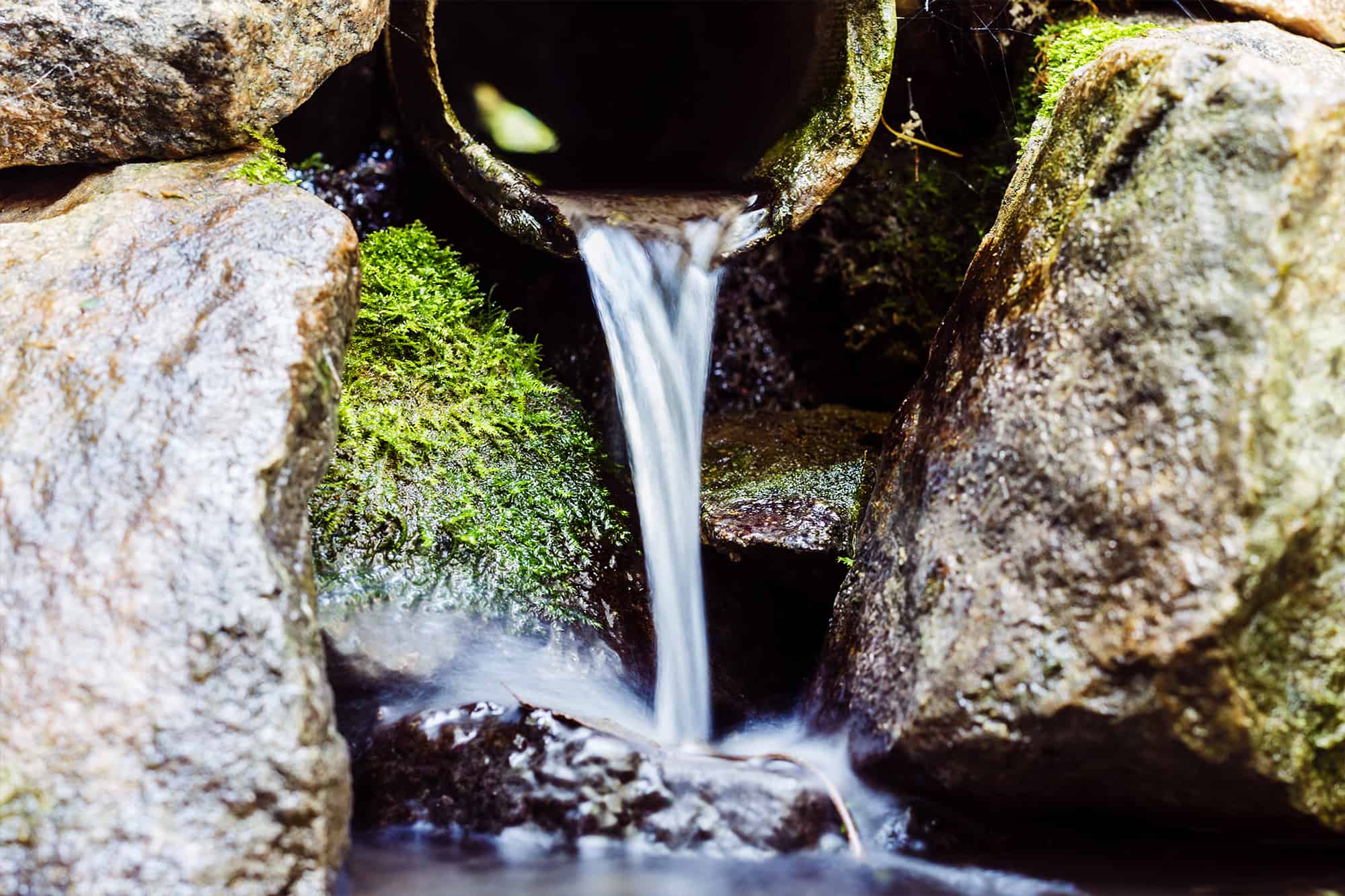 Remediation of surface water and groundwater to remove ammonia and dissolved organics